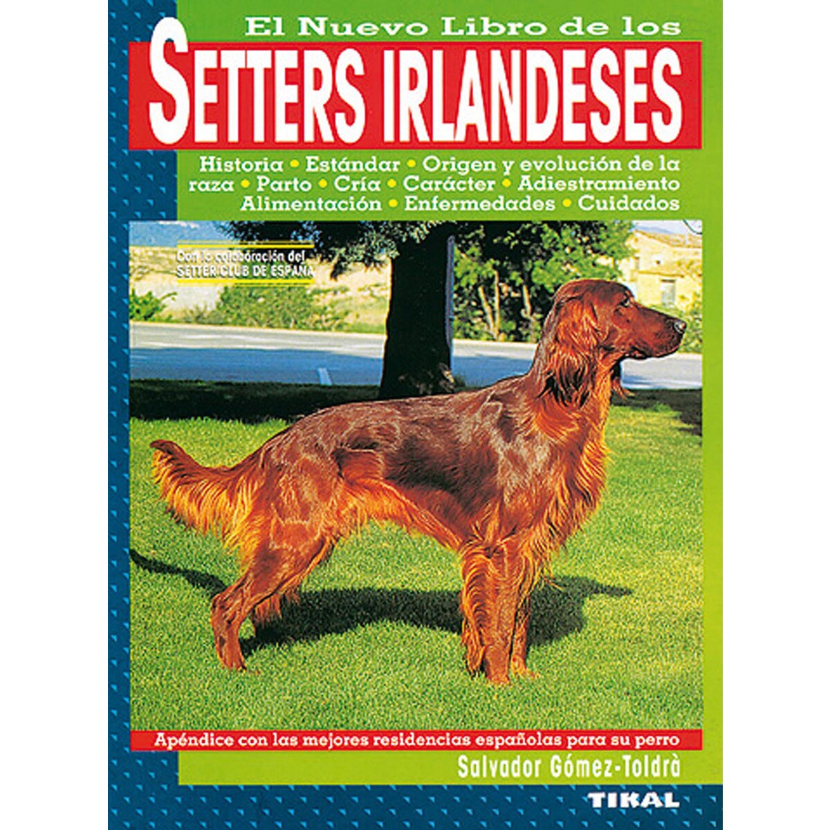 Setters irlandeses(Tapa blanda) 1