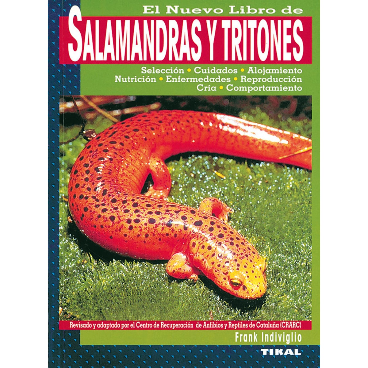 Imagen 0 de Salamandras y tritones (Tapa blanda)
