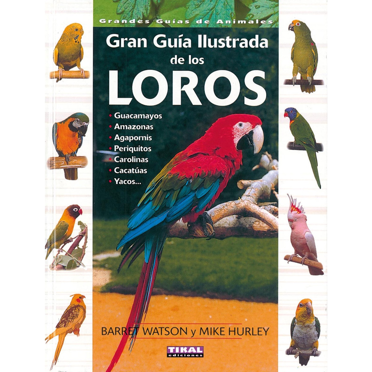 Guía ilustrada de los loros(Tapa dura) 1