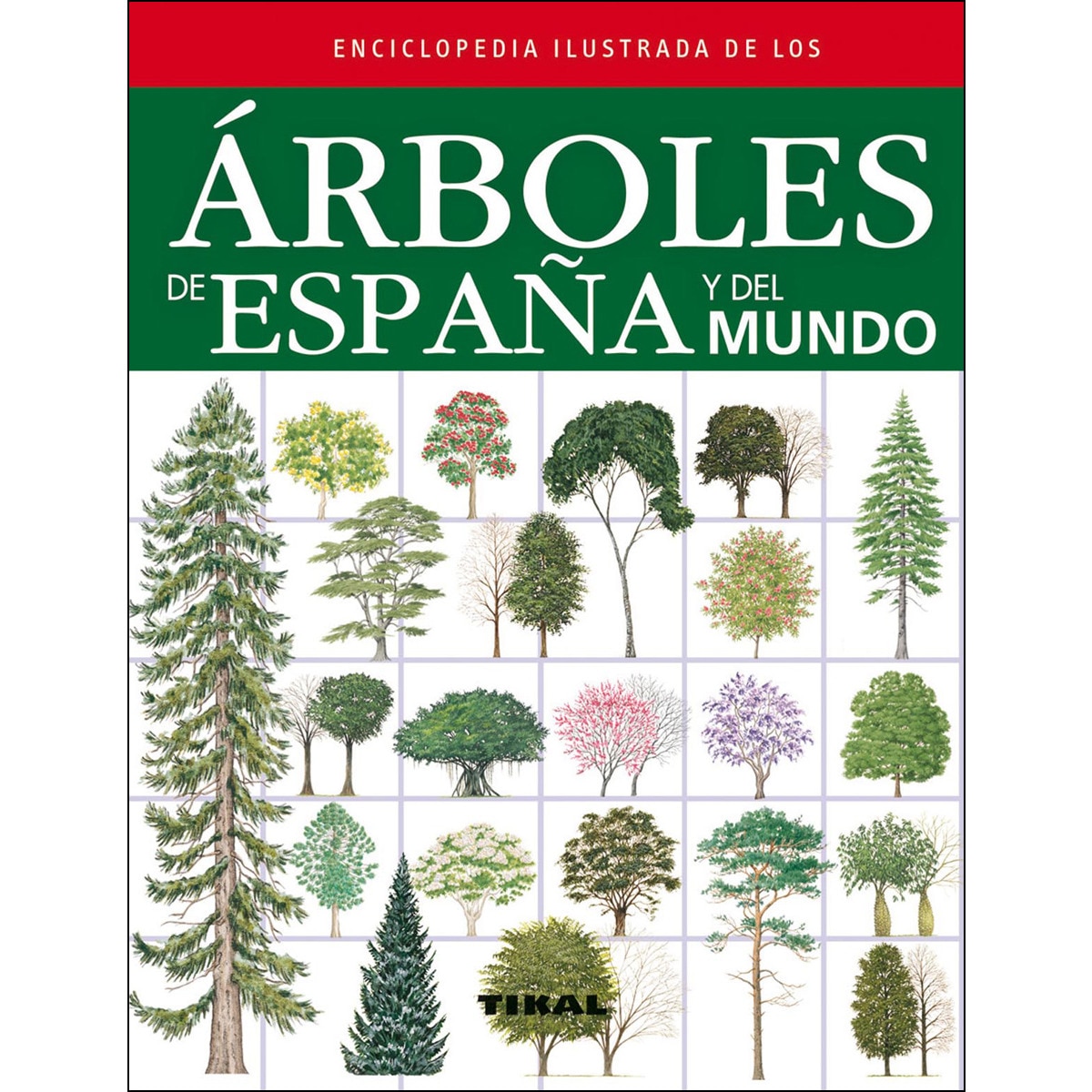 Imagem 0 de Árboles de España y del mundo (Capa mole)