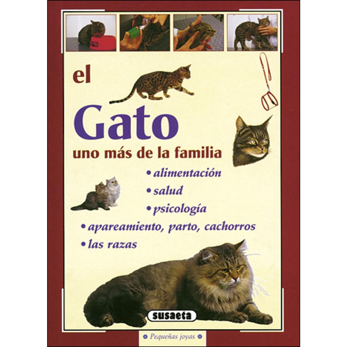 El gato(Tapa blanda) 1