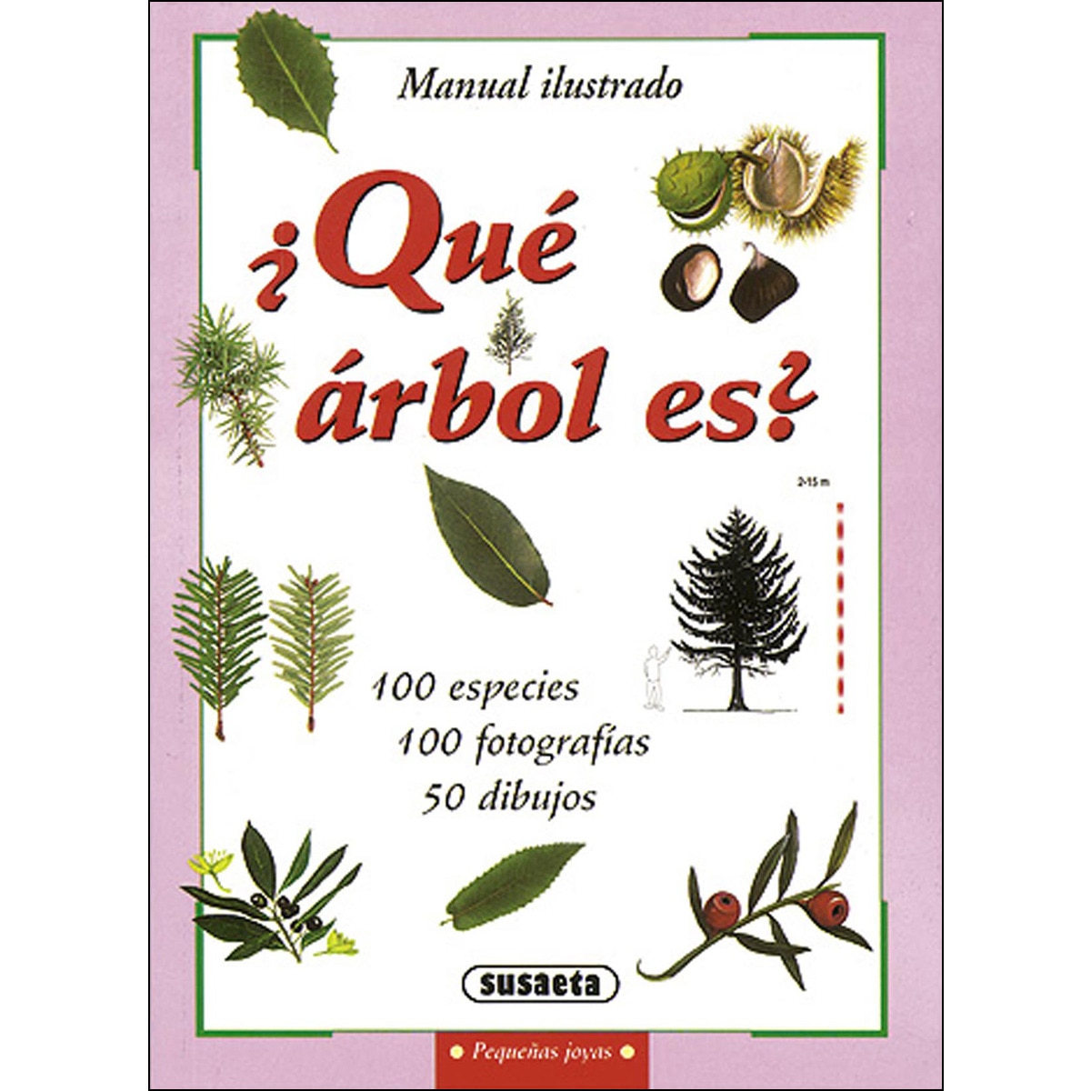 ¿Qué árbol es? (Capa mole) 1