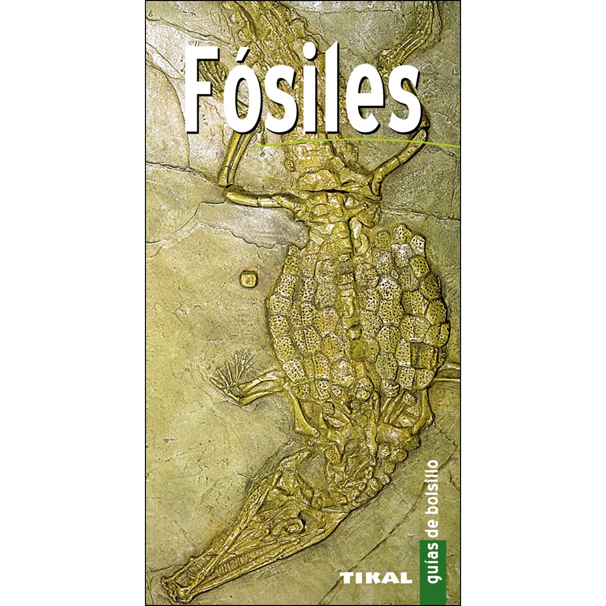 Imagem 0 de Fósiles(Tapa dura)