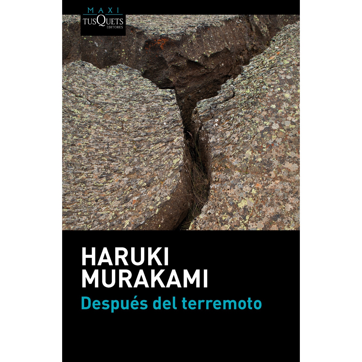 Imagen 0 de Después del terremoto (Bolsillo) (Tapa blanda)