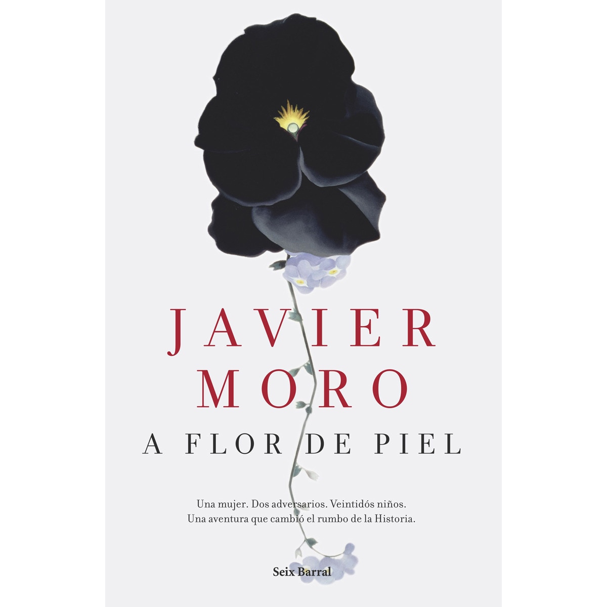 Imagen 1 de A flor de piel (Tapa blanda Tapa blanda con solapas)
