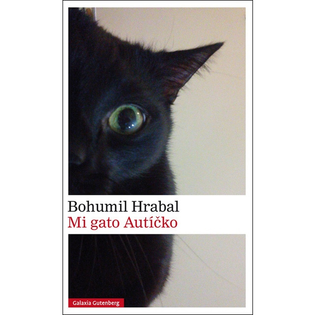 Imagen 0 de Mi gato autícko (Bolsillo) (Tapa dura)