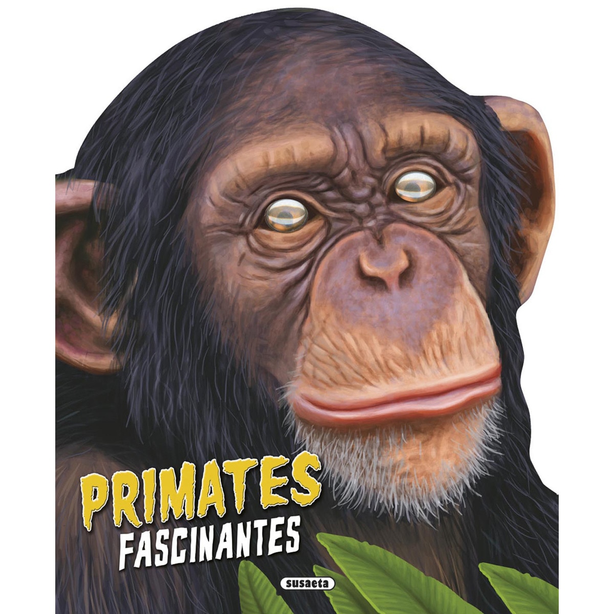 Primates fascinantes 1
