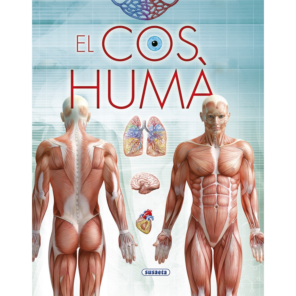 El cos humà(Tapa dura) 1