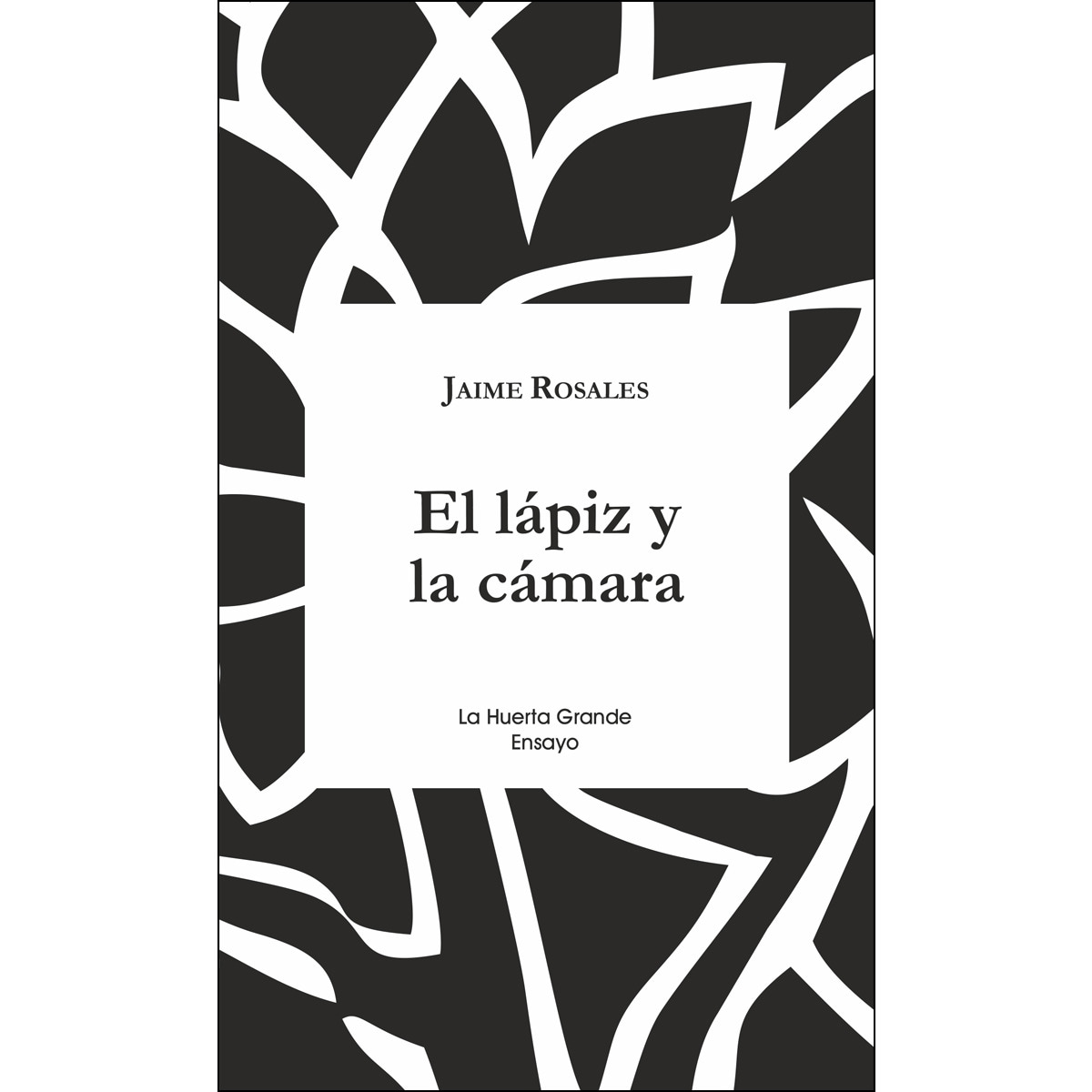 El lápiz y la cámara 1