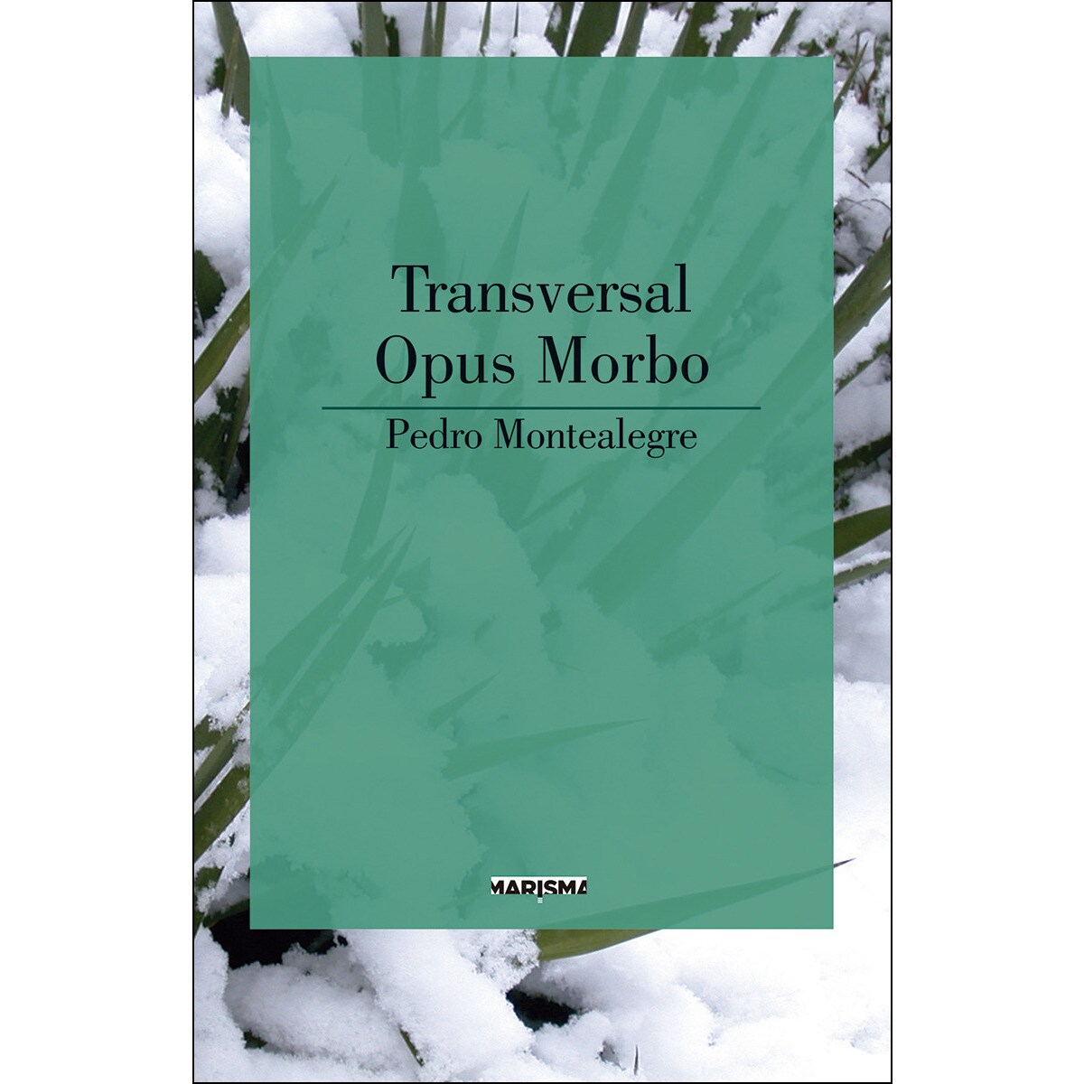 Transversal/ opus morbo(Tapa blanda) 1