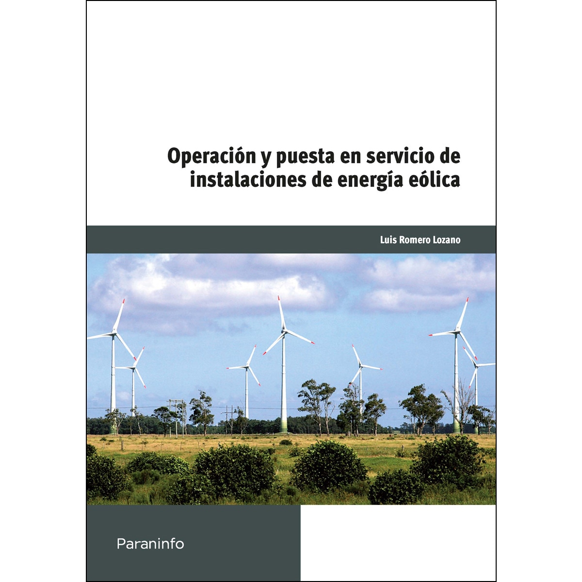 Imagem 0 de Operación y puesta en servicio de instalaciones de energía eólicas(Tapa blanda)