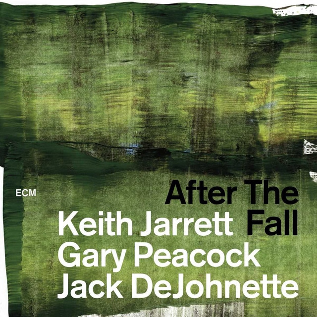 Imagen 0 de After the Fall (2 CD)