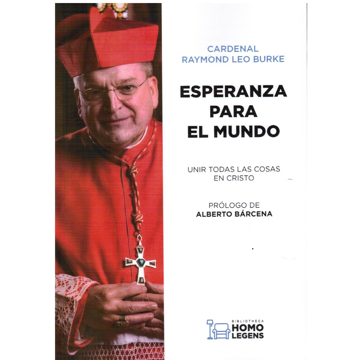 Imagem 0 de ESPERANZA PARA EL MUNDO: UNIR TODAS LAS COSAS EN CRISTO (Capa mole)