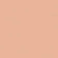 103 Sand Beige