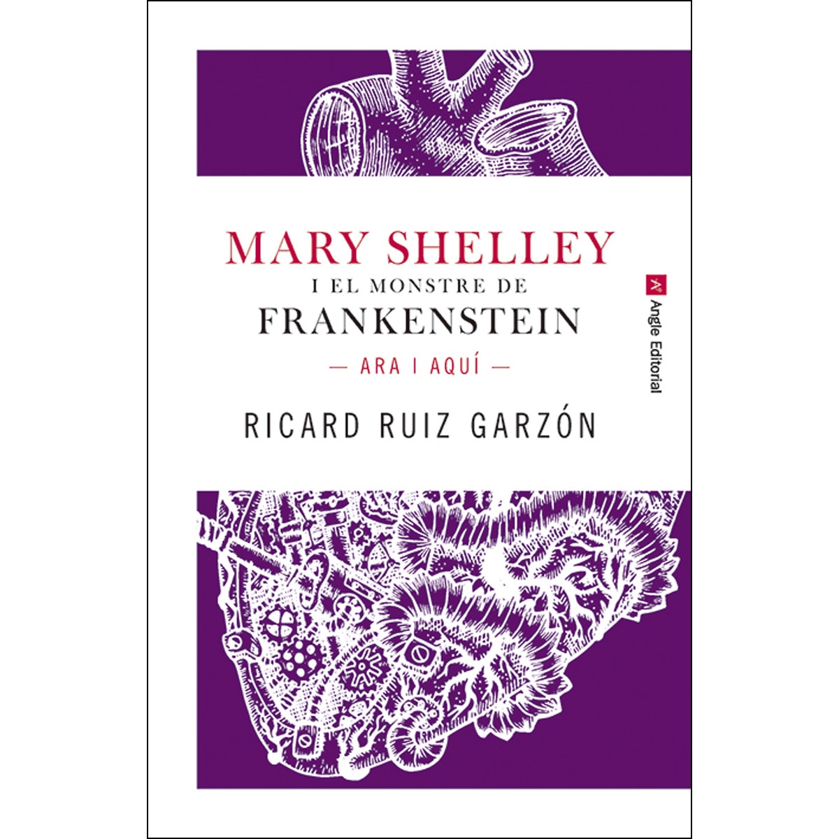 Imagem 0 de Mary Shelley i el monstre de Frankenstein. (Capa mole)