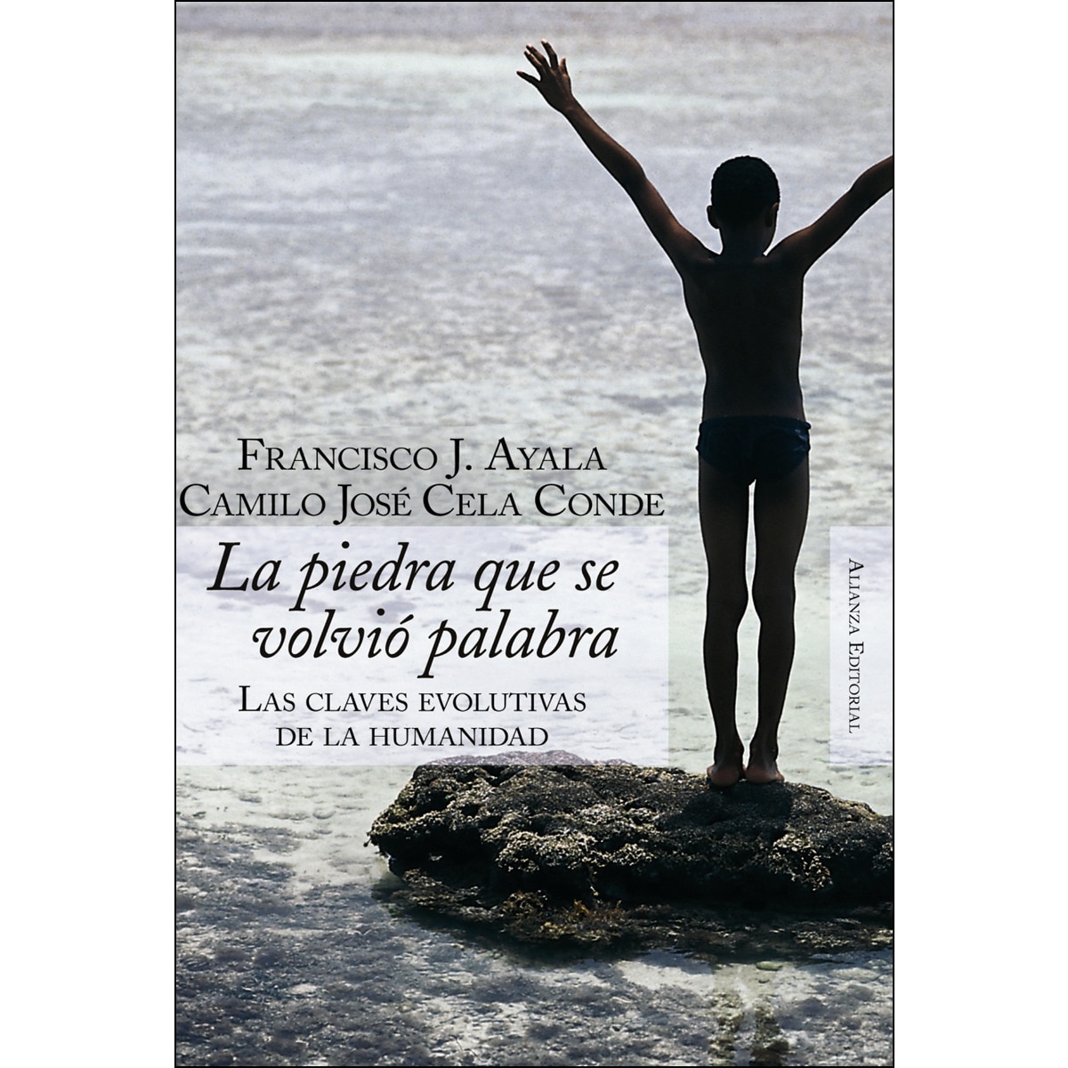 Imagem 0 de La piedra que se volvió palabra: Claves evolutivas de la humanidad (Capa mole com abas)