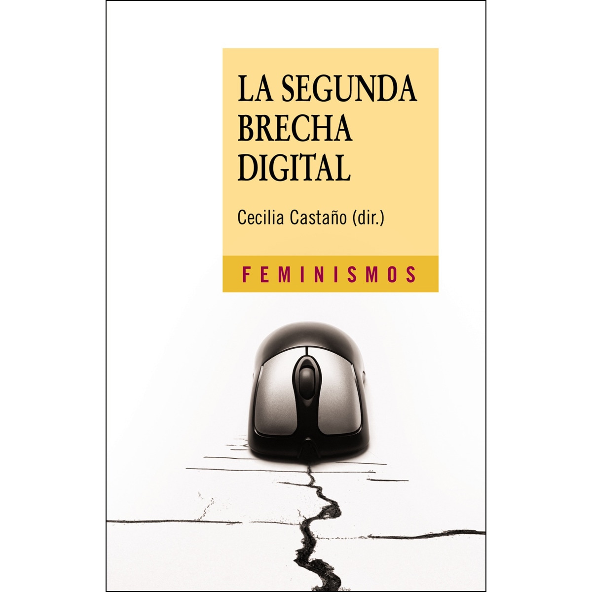 La segunda brecha digital(Tapa blanda) 1
