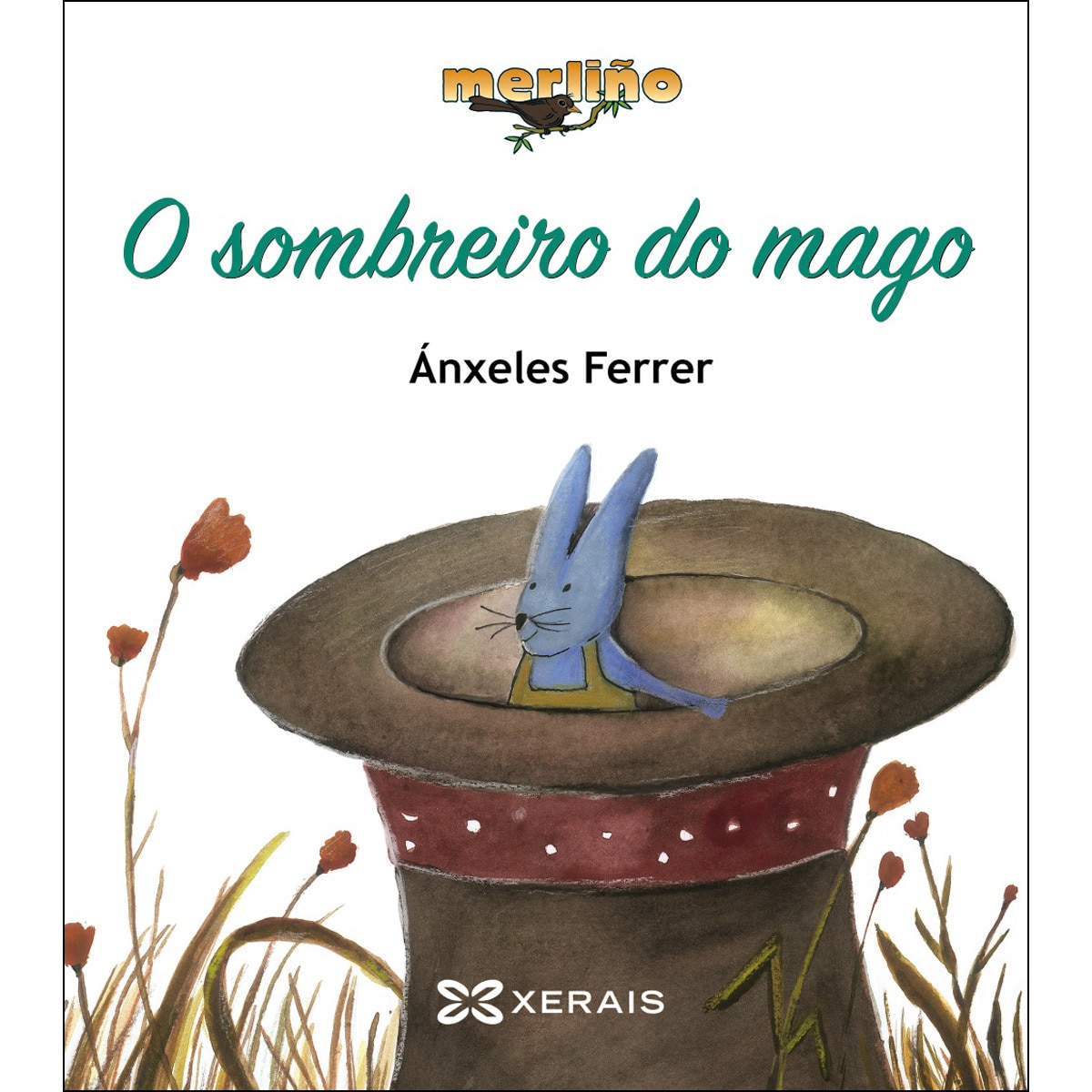 O sombreiro do mago 1