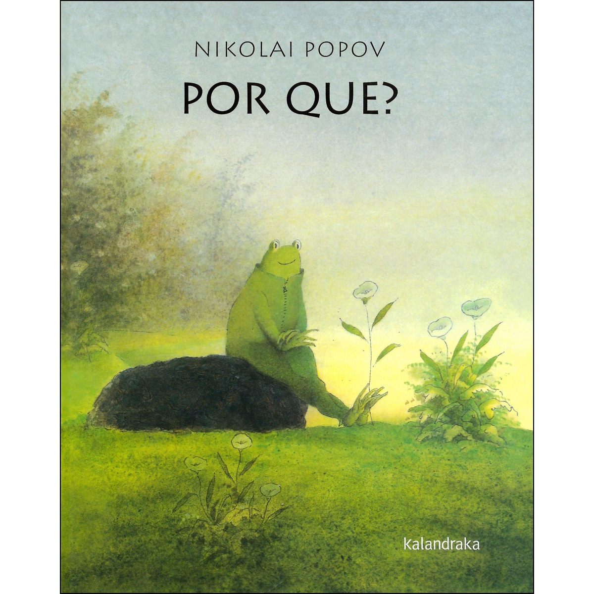 Por que?(Tapa dura) 1