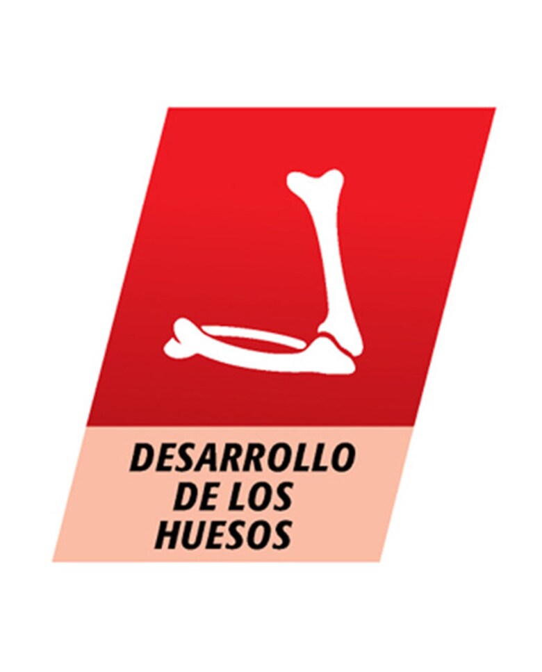 Comprimidos masticables Junior Multicentrum 5