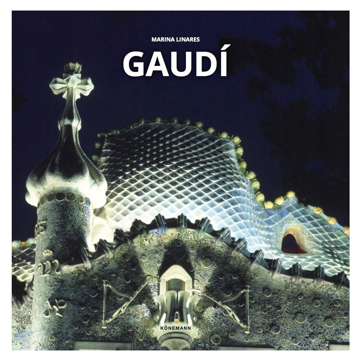 GAUDÍ 1