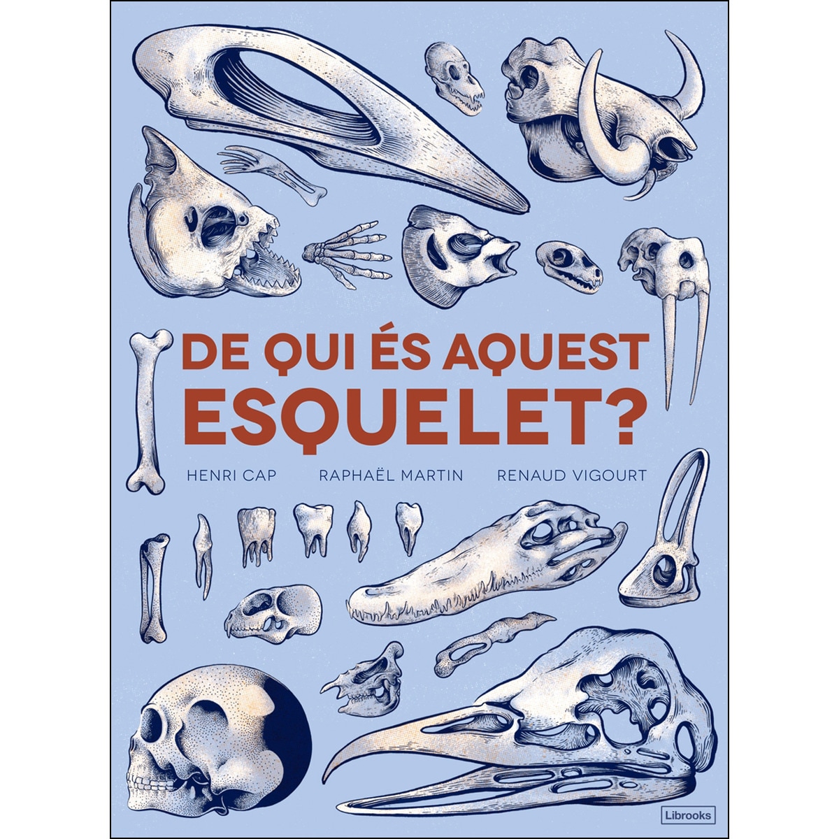 De Qui És Aquest Esquelet? 1