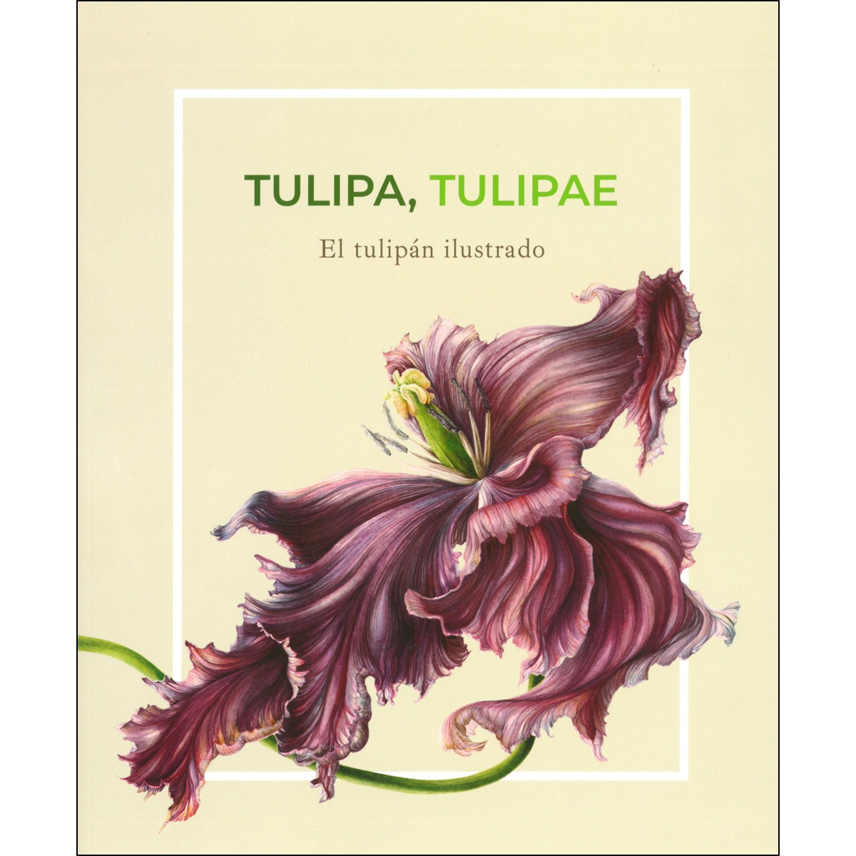 Tulipa tulipae : el tulipán ilustrado (Capa mole com abas) 1
