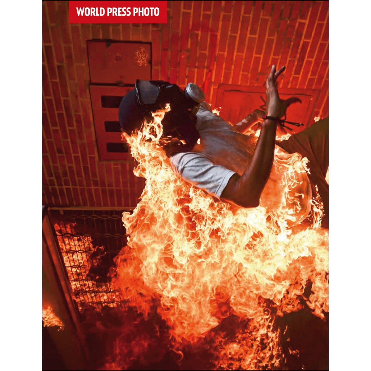 World press photo 18(Tapa blanda) 1