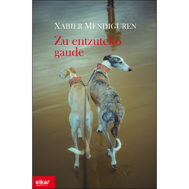 Imagem 0 de Zu entzuteko gaude(Tapa blanda)