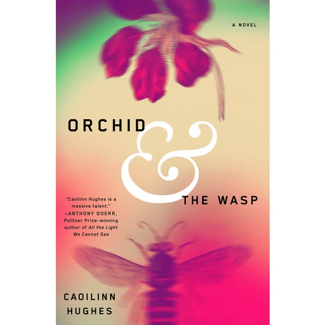 Orchid And The Wasp 1