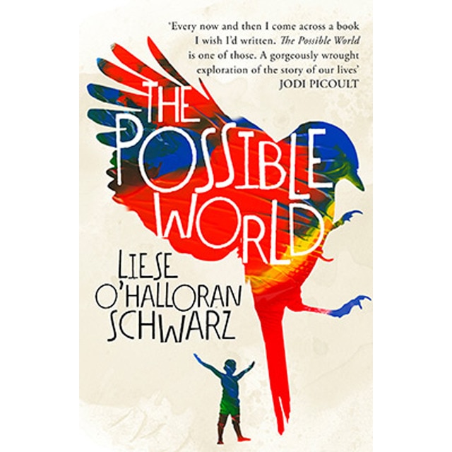 The Possible World 1
