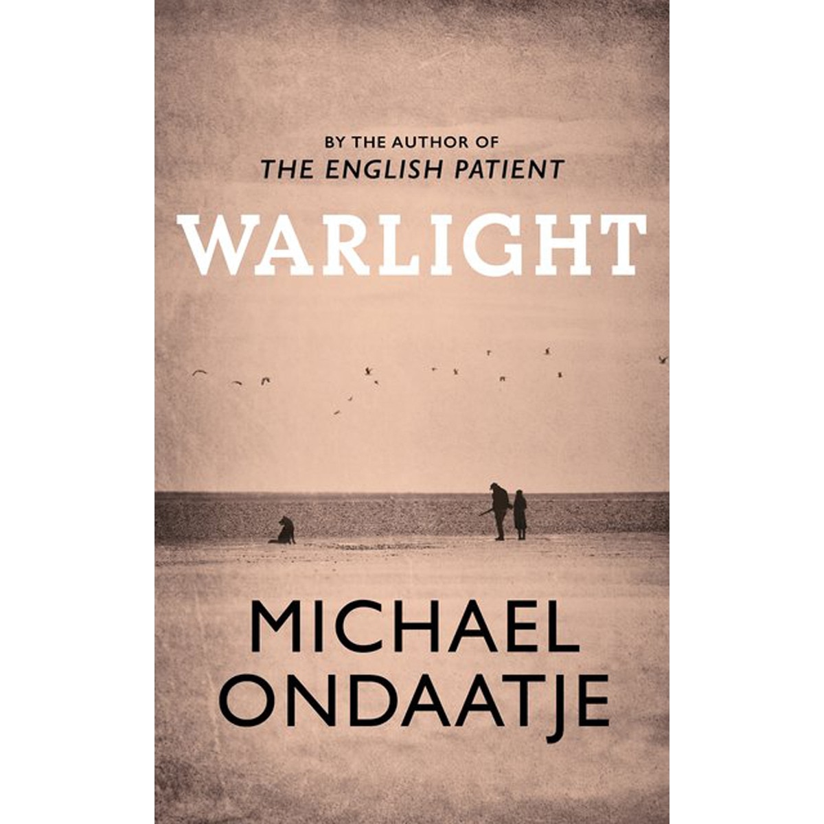Imagem 0 de Warlight
