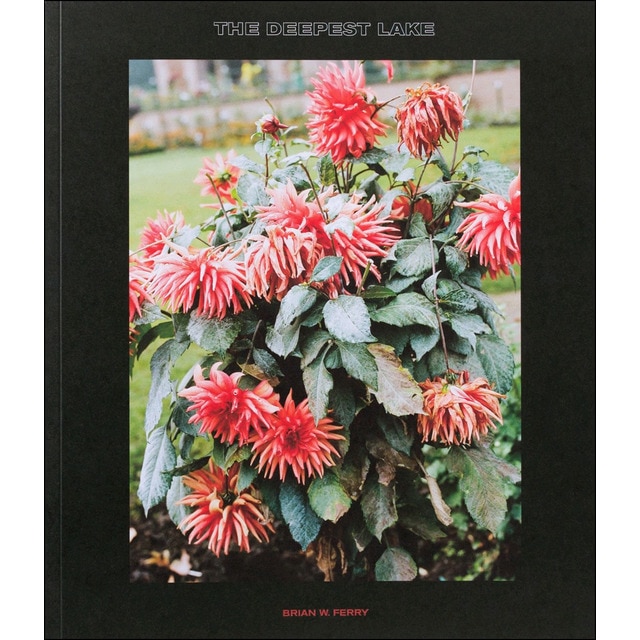 Imagem 0 de The Deepest Lake