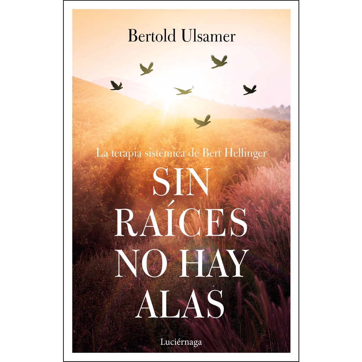 Sin raíces no hay alas: La terapia sistémica de Bert Hellinger (Capa mole com abas) 1