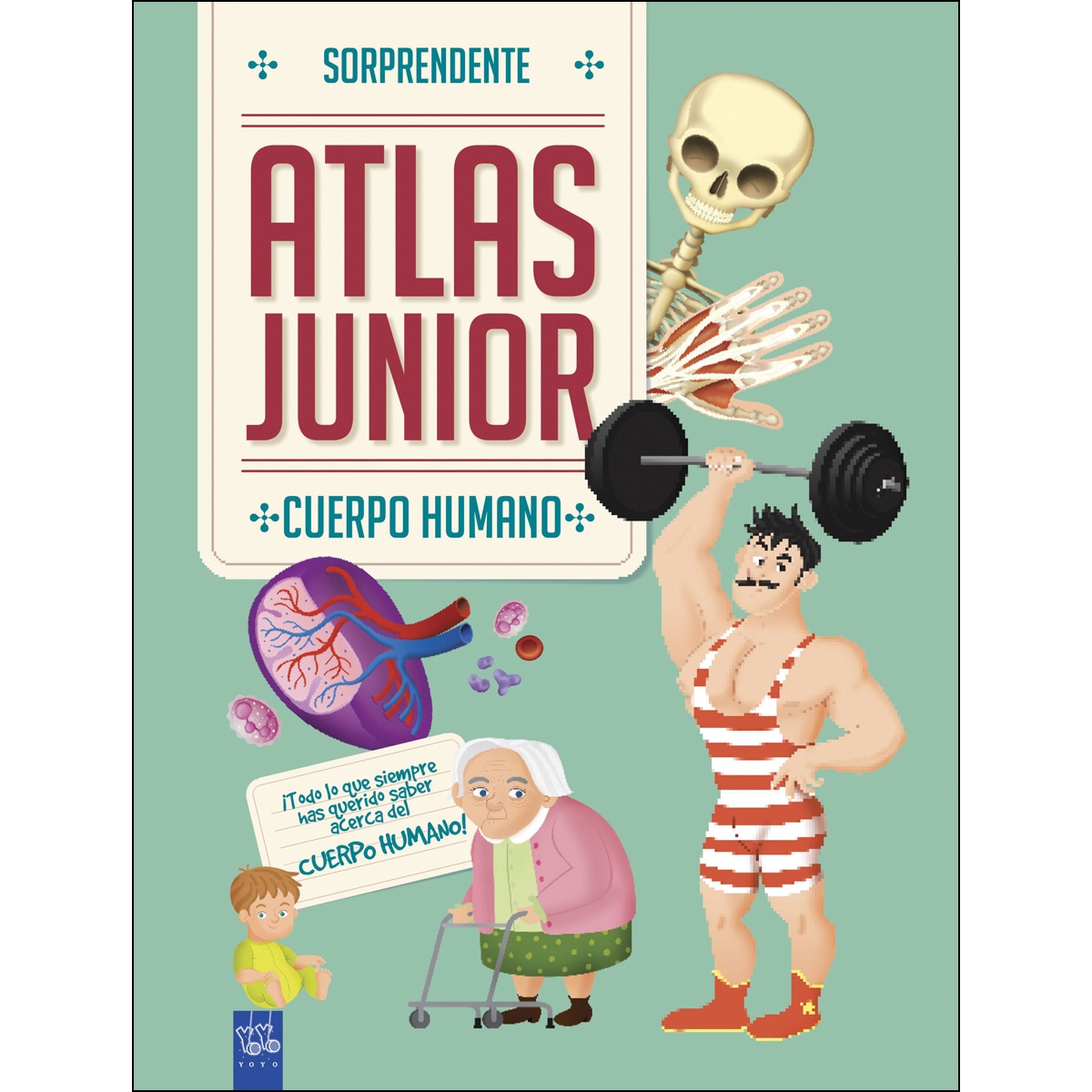 Imagen 0 de Cuerpo humano: Sorprendente Atlas Junior  (Tapa dura)