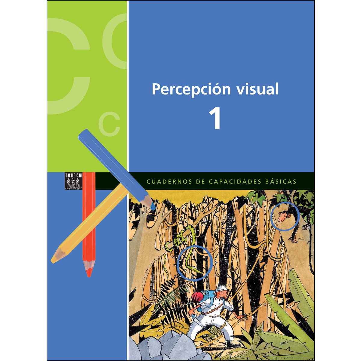 Imagen 0 de PERCEPCIÓN VISUAL 1 (Tapa blanda)