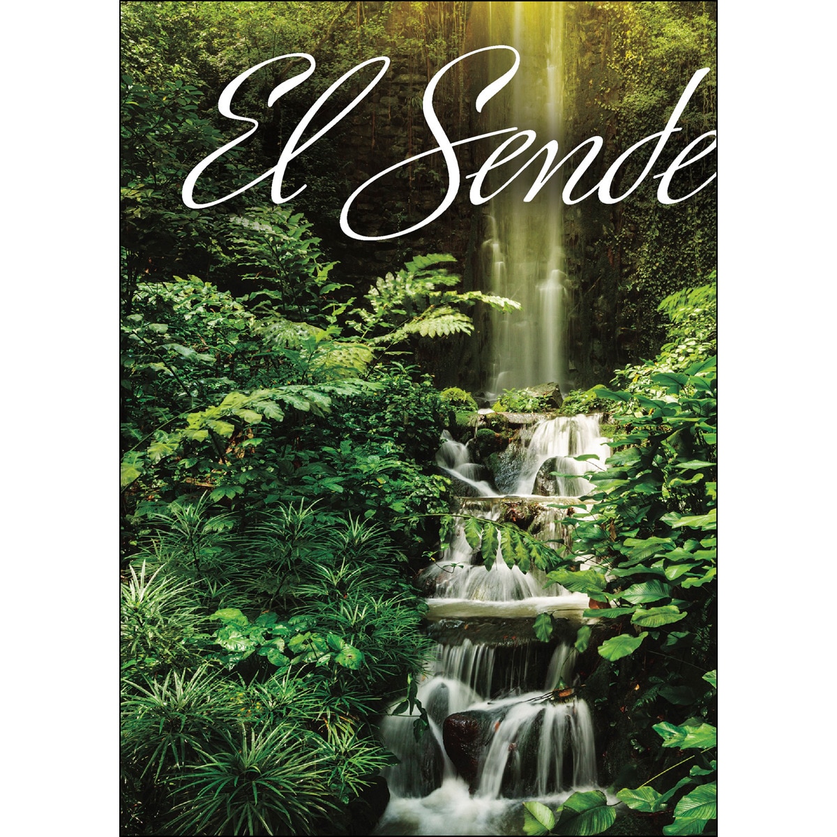 El sendero(Tapa blanda) 1