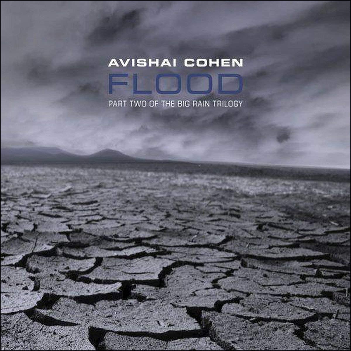 Imagen 0 de Flood (CD)