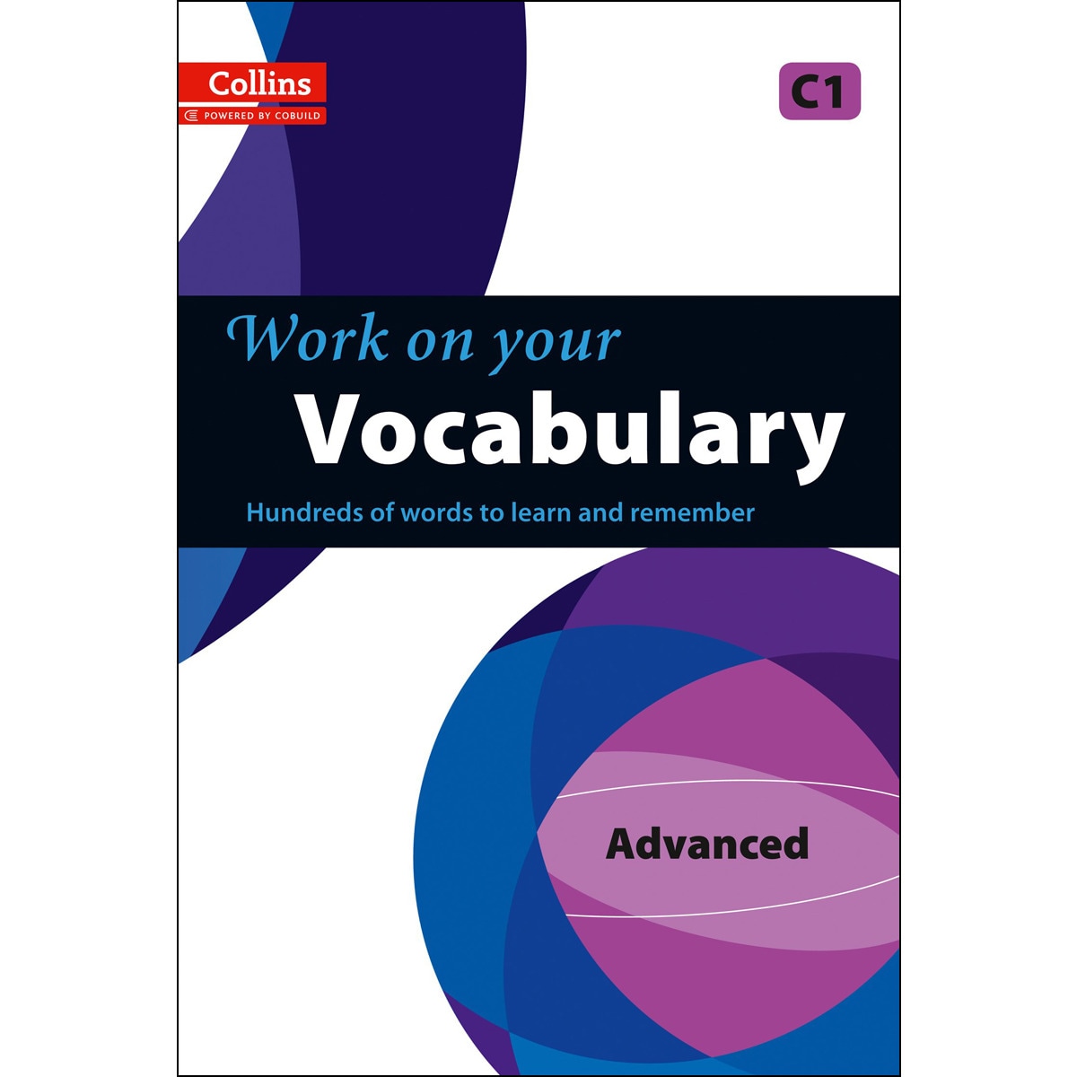 Focus on Vocabulary Learning (Capa mole) 1
