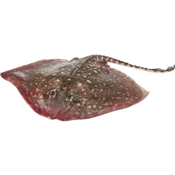 Raia Peso Aproximado por unidade 2 kg