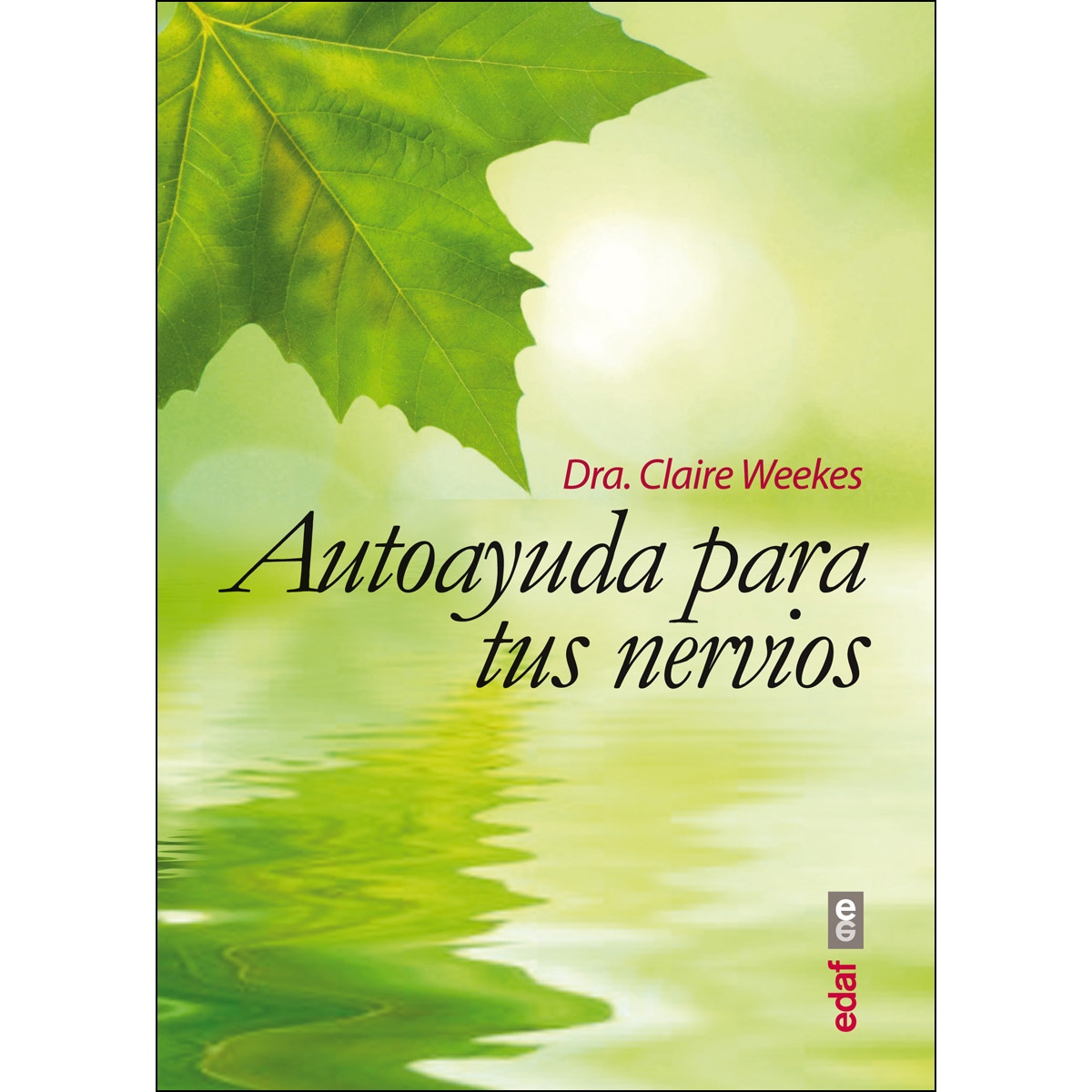 Autoayuda para tus nervios (Capa mole com abas) 1