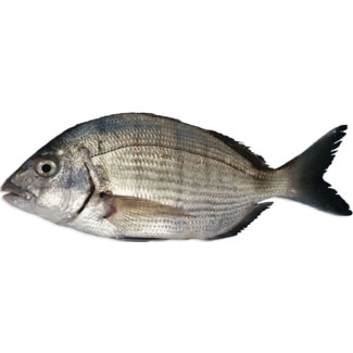 Sargo Peso Aproximado por unidade 700 g