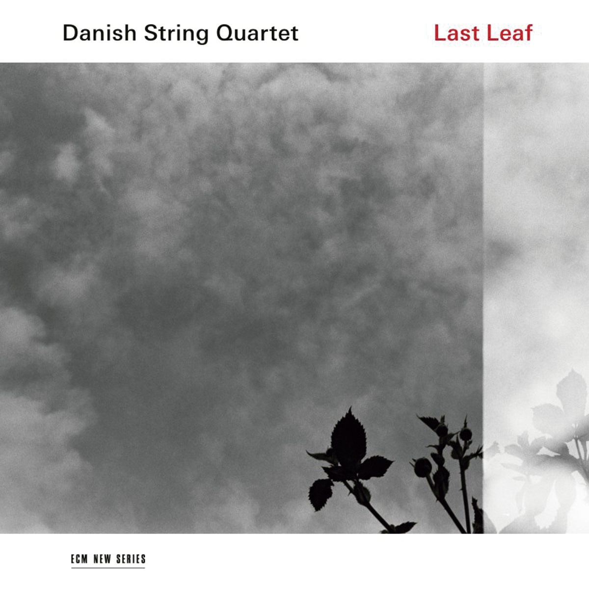 Last Leaf (LP-Vinil) 1