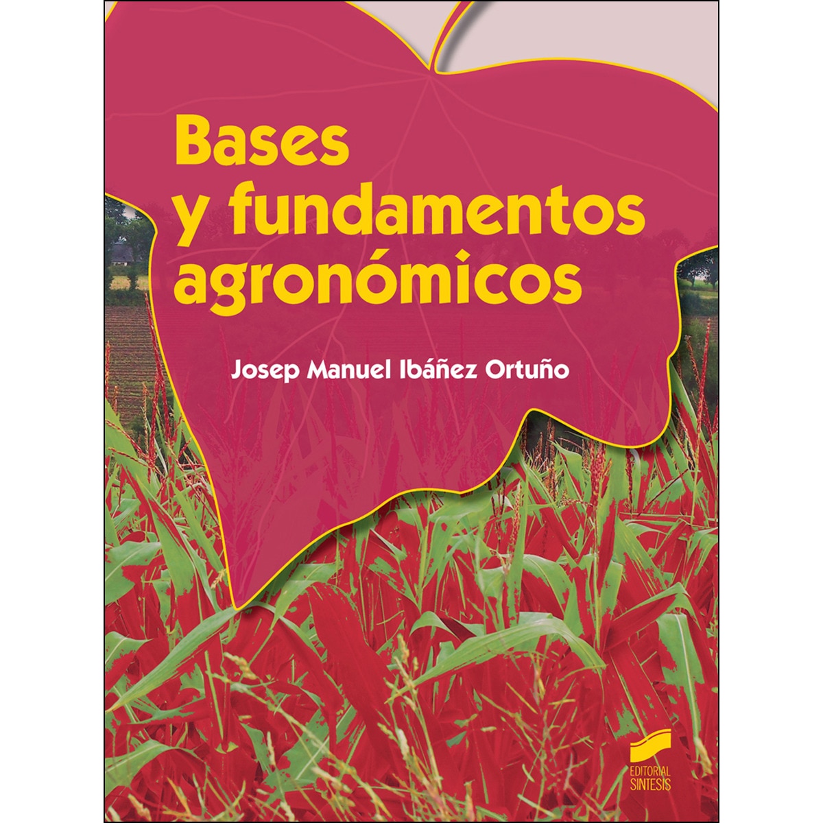 Imagem 0 de Bases y fundamentos agronómicos(Tapa blanda)