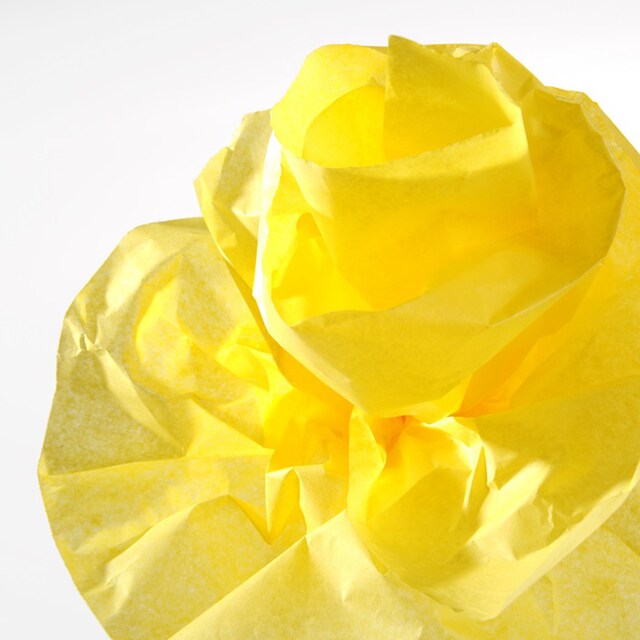 Imagen 0 de Rollo de 50x500 cm, Seda, 20g, Canson Amarillo Limón