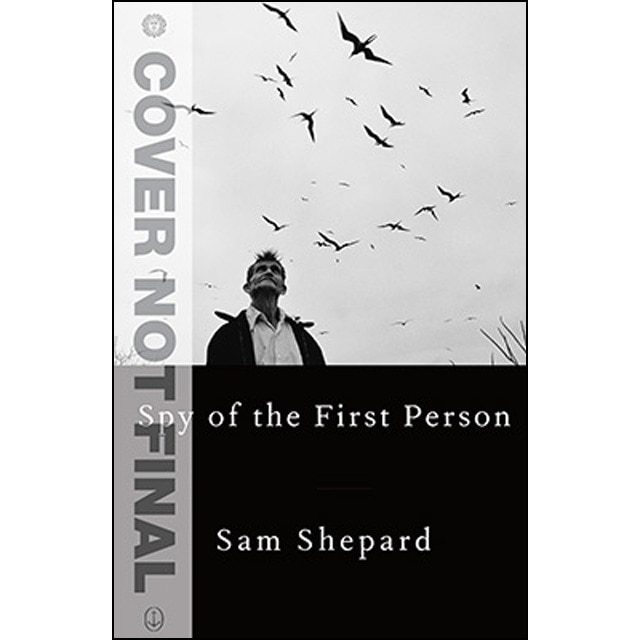 Spy Of The First Person 1