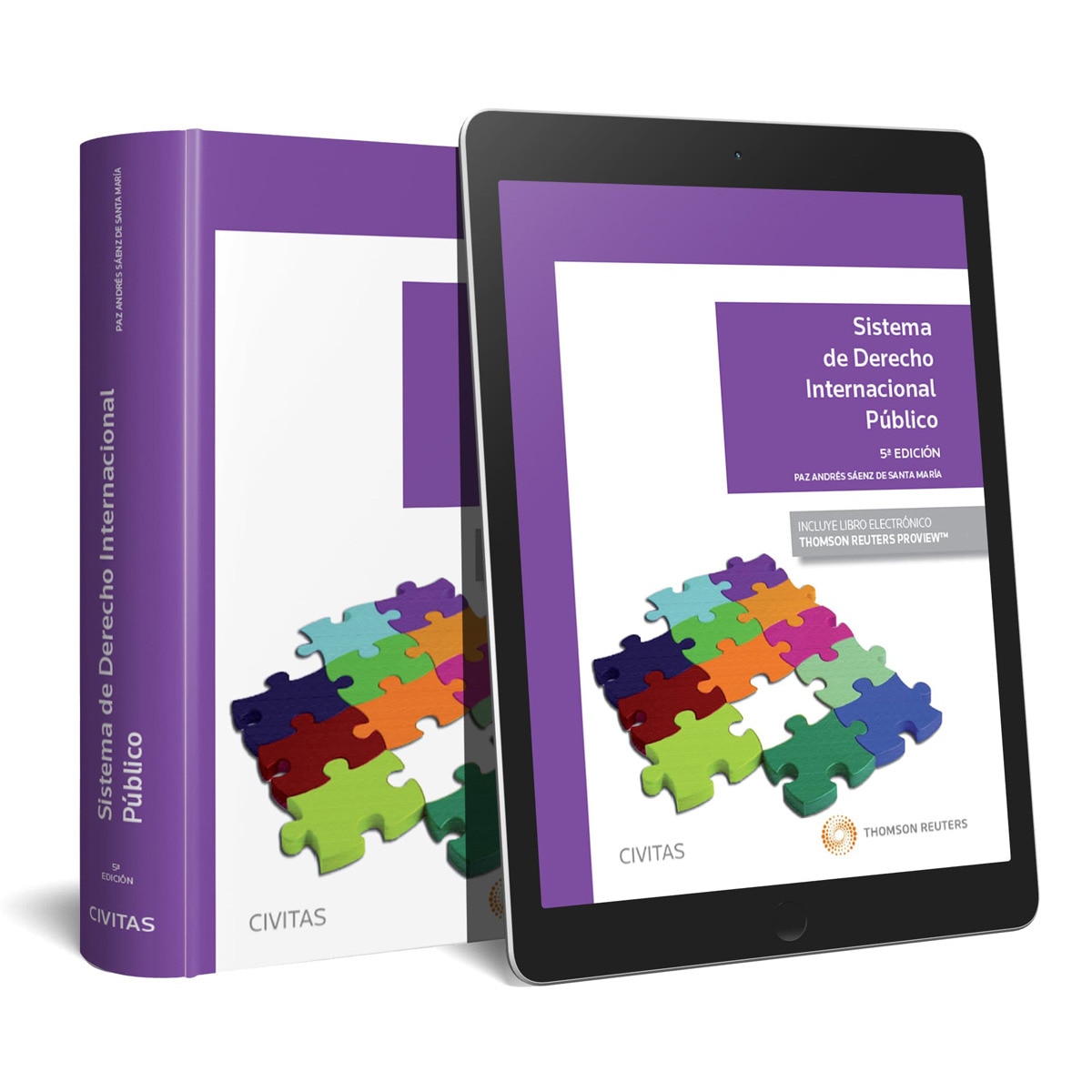 Sistema de Derecho Internacional Público (Papel + e-book) 1