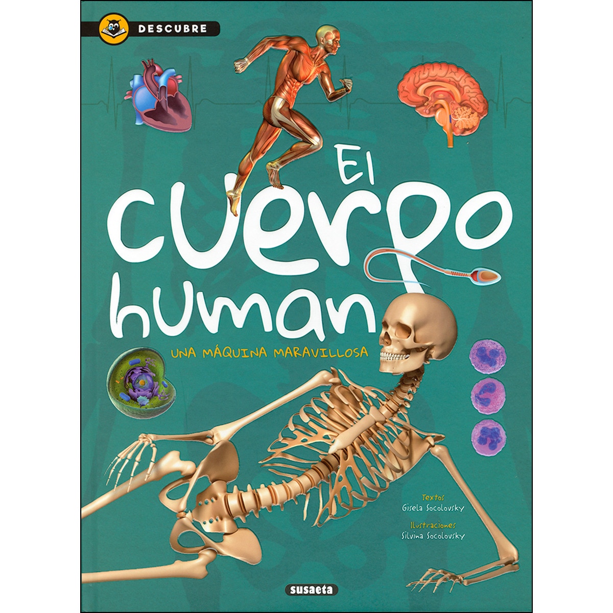 El cuerpo humano(Tapa dura) 1