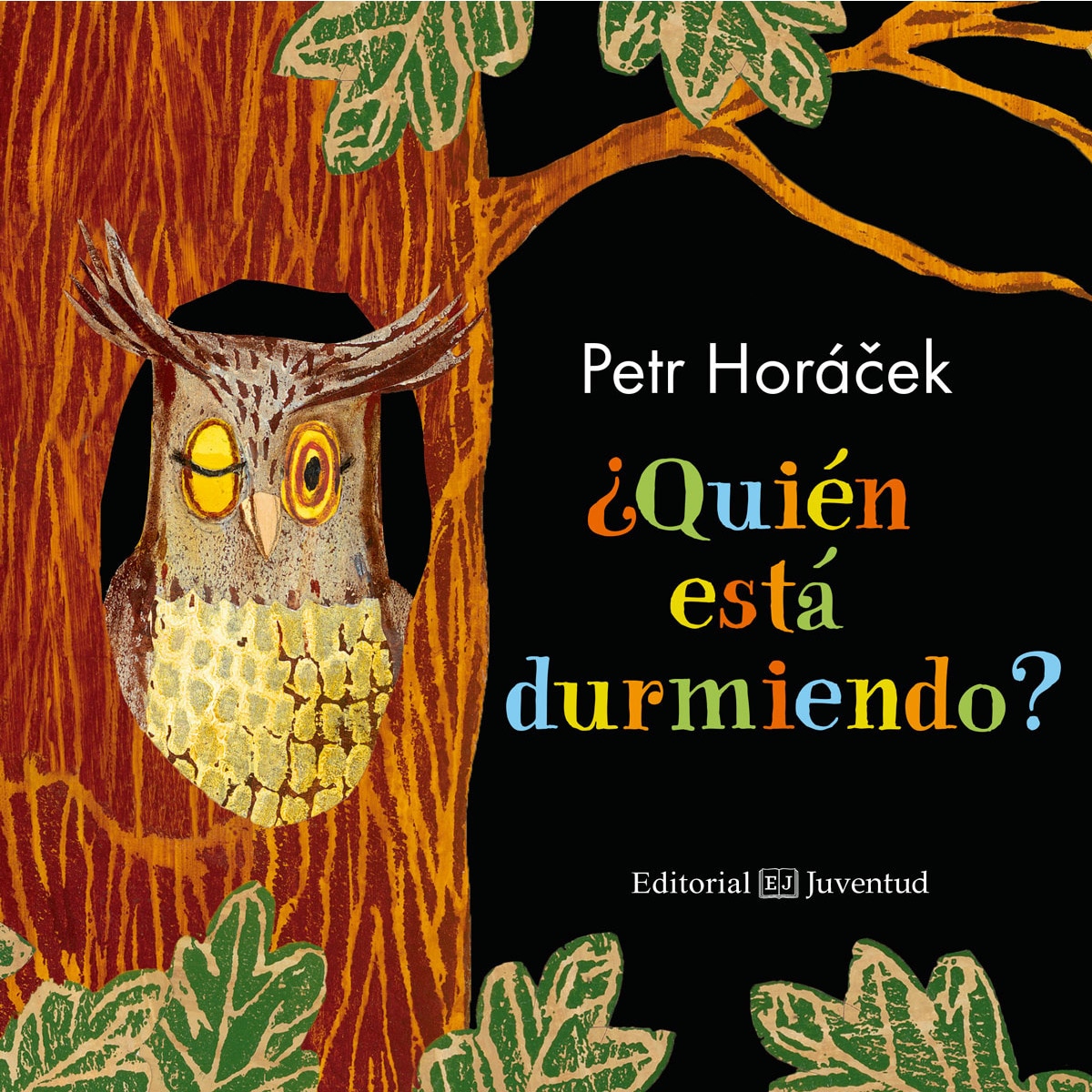 Imagem 0 de ¿Quién está durmiendo?