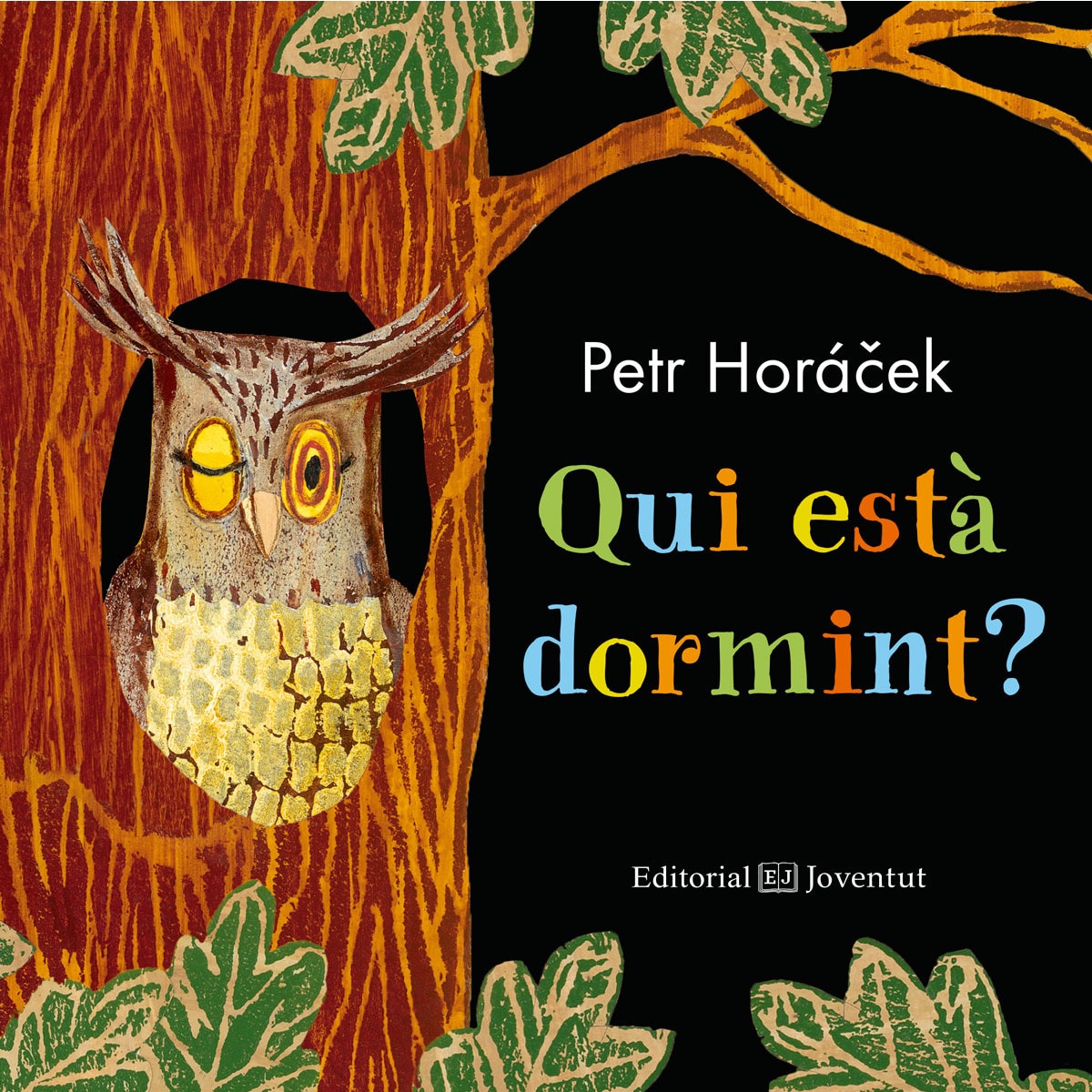 Imagem 0 de Qui Està Dormint?